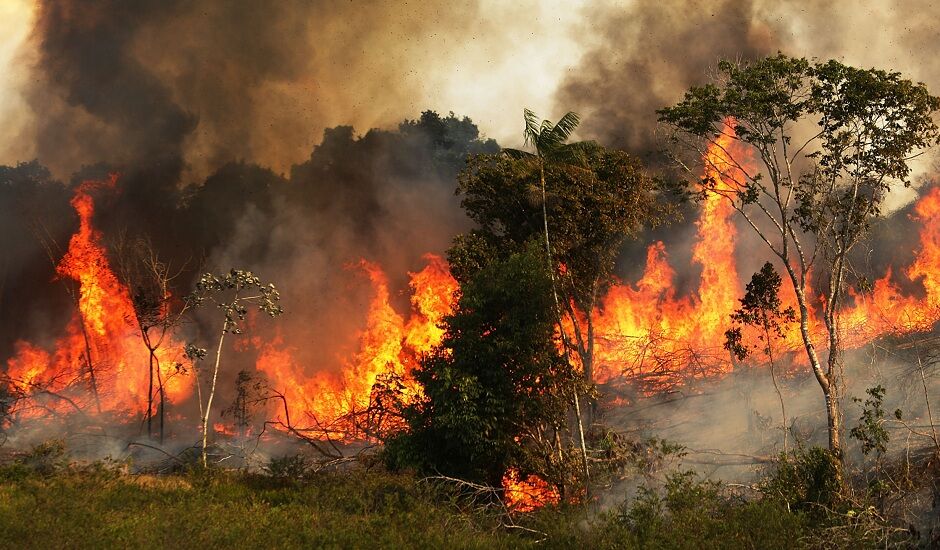 آتش‌سوزی دنباله‌دار در جنگل‌های گالیکش