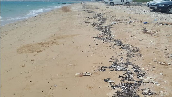 خلع ید زمین ۲۴ هزار مترمربعی در ساحل بندرترکمن