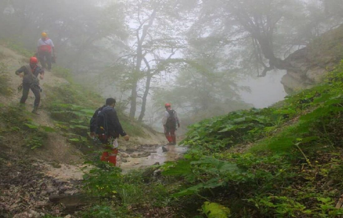 گردشگران گمشده در جنگل‌های گرگان سالم پیدا شدند