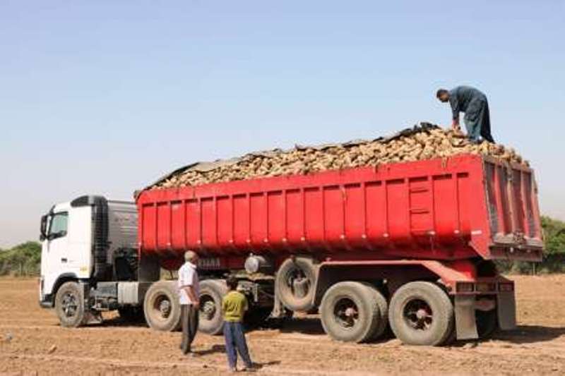 ۱۷ هزار و ۵۰۰ کامیون، محصولات کشاورزی بهاره گلستان را جابه‌جا می‌کنند