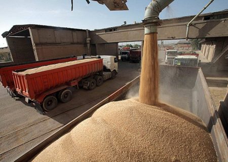 کسری گندم کارخانه‌های آرد گلستان فقط ۱۹۸ تن است